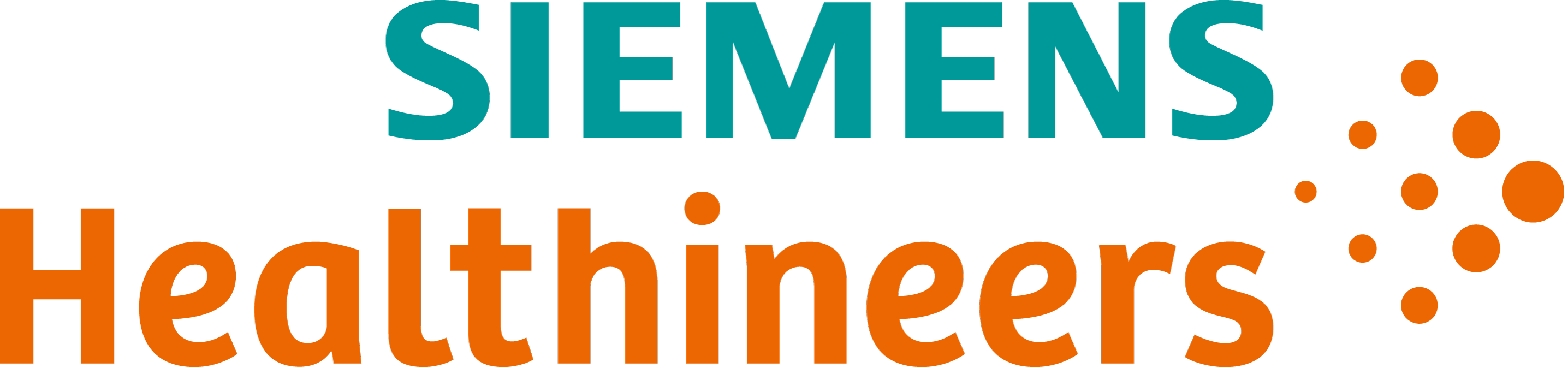 shems travel