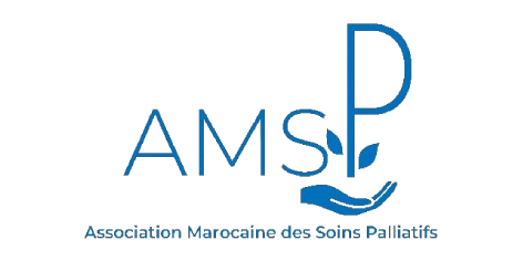 shems travel